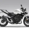CB 1000 HORNET