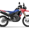 CRF 300 RALLY