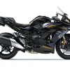 NINJA H2 SX