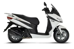 SXR 50