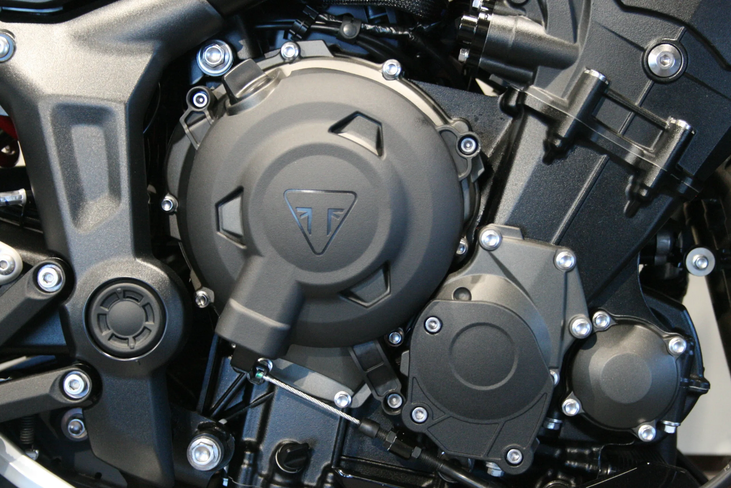 TRIDENT 800 LLC