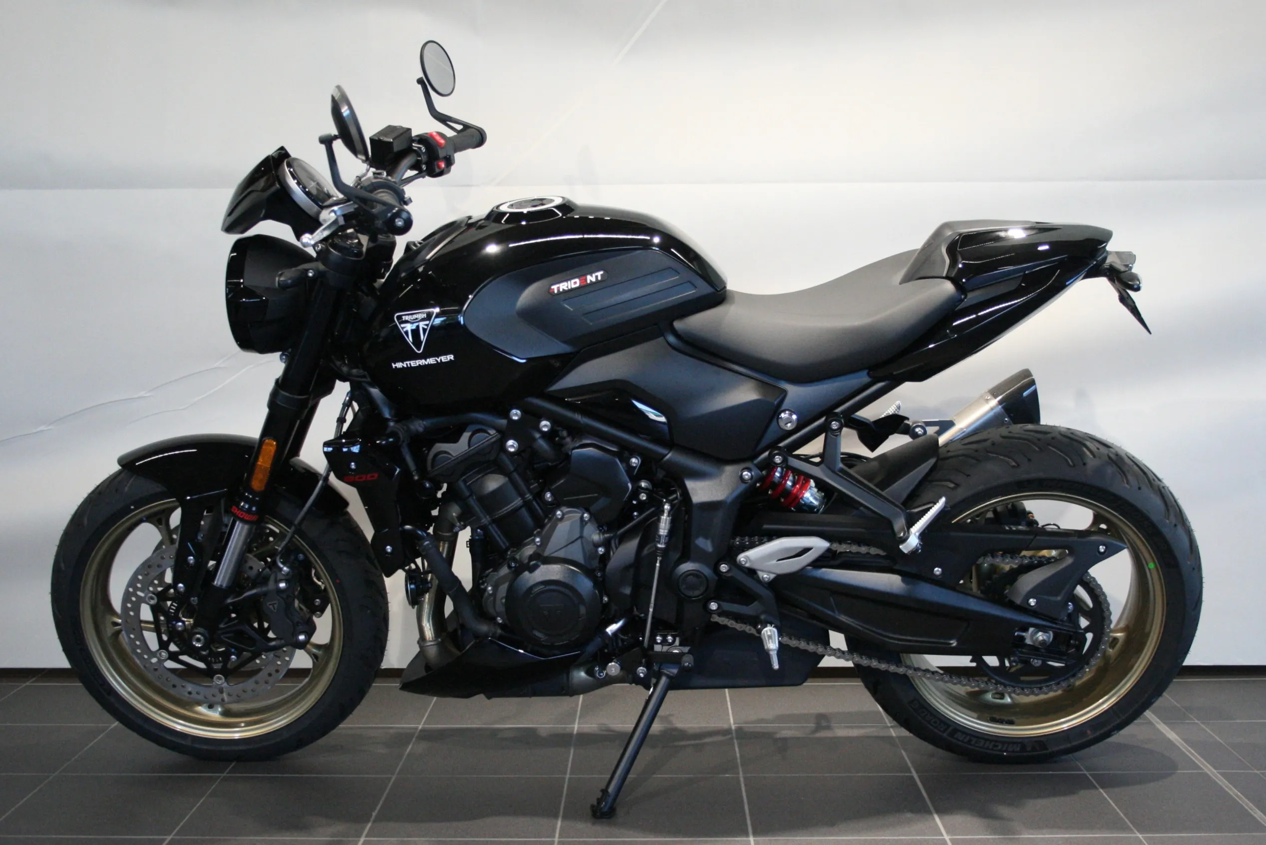 TRIDENT 800 LLC