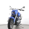 VZ 1500 M INTRUDER