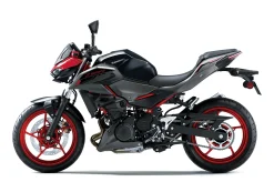 Z 500 SE